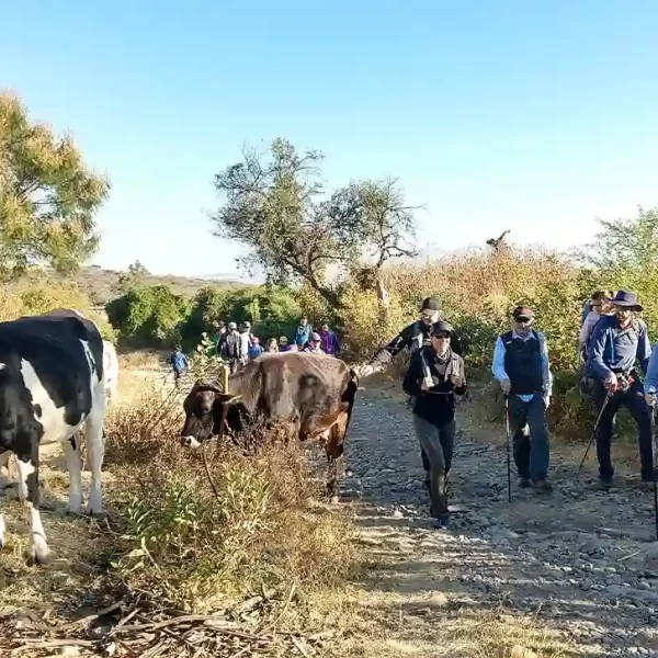 Creación de experiencias turísticas como caminatas guiadas, un servicio de la organización de eventos deportivos y turísticos de Nenenki.