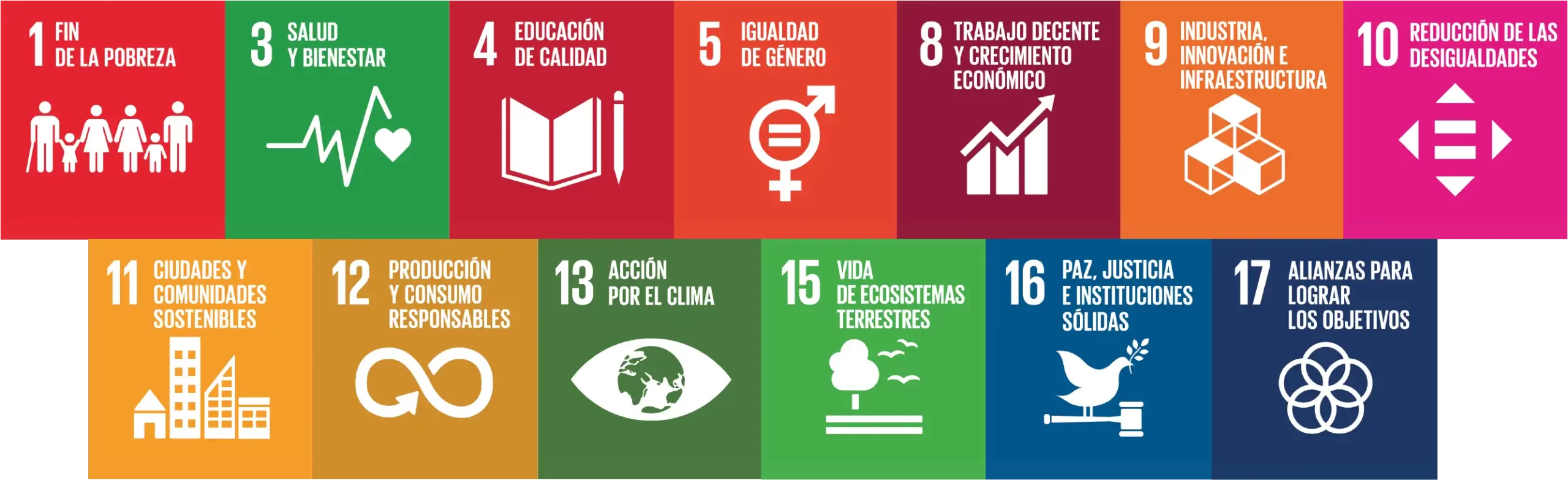 Con nuestros productos y servicios contribuimos al cumplimiento de los Objetivos de Desarrollo Sostenible (ODS)