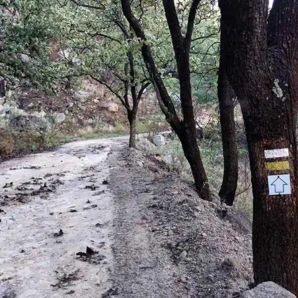 Poste con señalización y pictogramas de actividades en sendero Los Patios-La Soledad de Ixcatán.