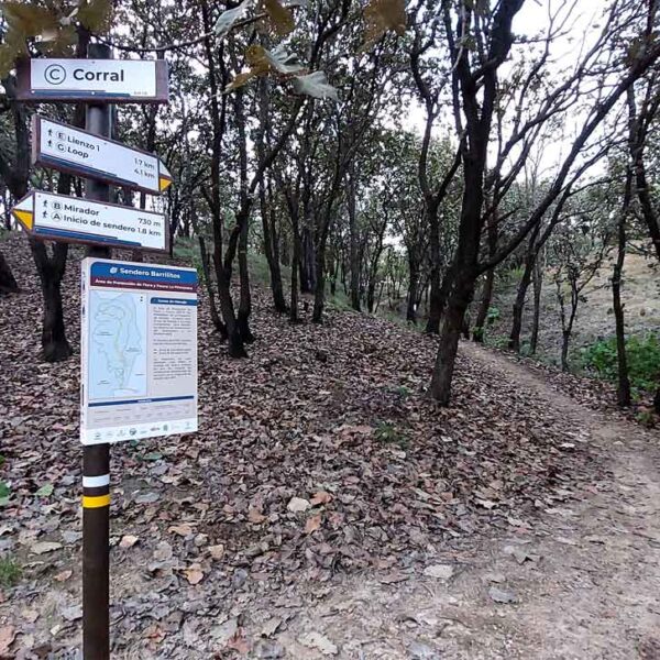 Sendero Barrilitos en Bosque La Primavera. Saeta y base informativa con sendero de fondo.