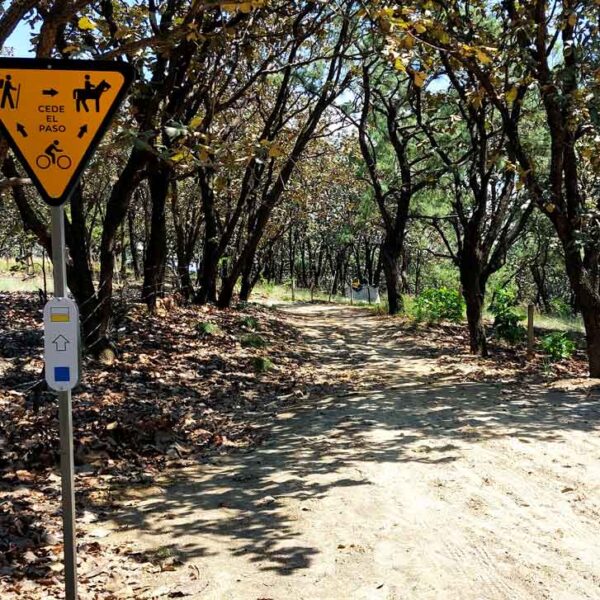 Sendero Barrilitos en Bosque La Primavera. Señal vial movilidad compartida cabalgante, senderista, ciclista